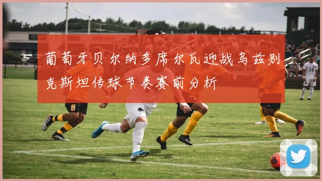葡萄牙贝尔纳多席尔瓦迎战乌兹别克斯坦传球节奏赛前分析