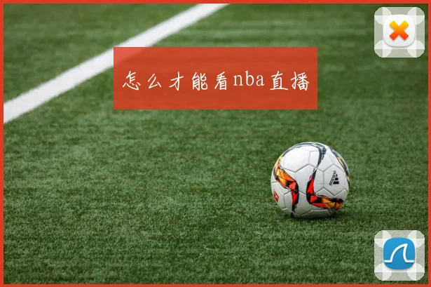 怎么才能看nba直播