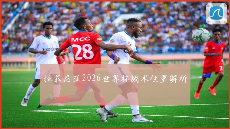 拉菲尼亚2026世界杯战术位置解析