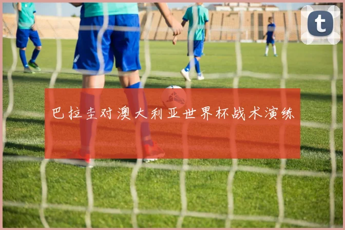 巴拉圭对澳大利亚世界杯战术演练