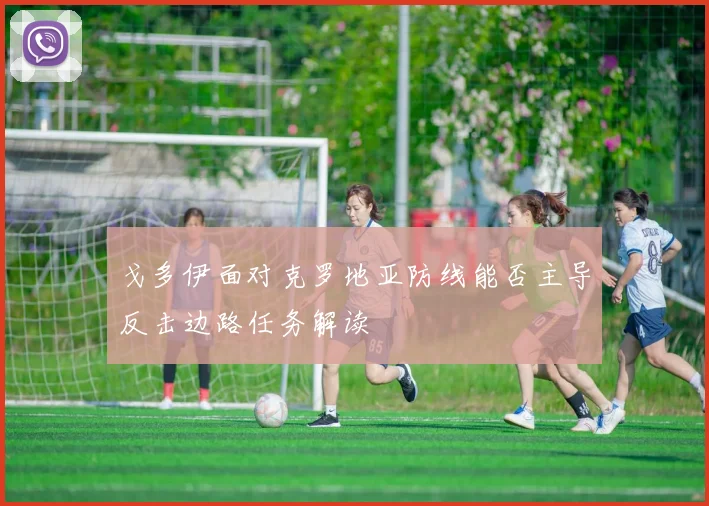 戈多伊面对克罗地亚防线能否主导反击边路任务解读