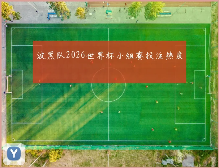 波黑队2026世界杯小组赛投注热度