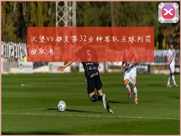 汉堡vs都灵第32分钟客队点球判罚被取消