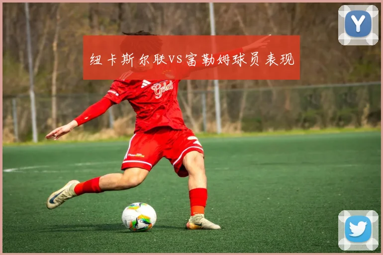 纽卡斯尔联vs富勒姆球员表现