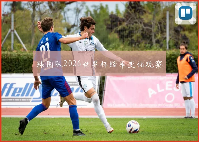 韩国队2026世界杯赔率变化观察