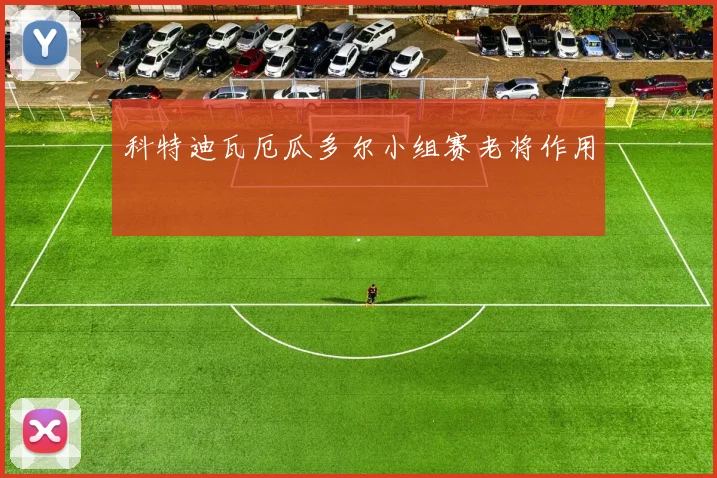科特迪瓦厄瓜多尔小组赛老将作用