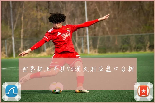 世界杯土耳其vs澳大利亚盘口分析