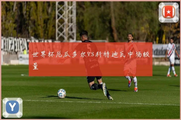 世界杯厄瓜多尔vs科特迪瓦中场较量